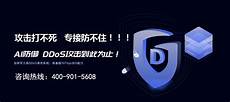 确保高速游戏服务器的安全性