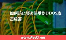 韩国是世界上速度最快的国家