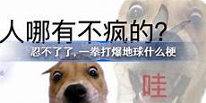 纵横数据从2005年以来