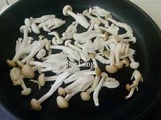 韩国 蘑菇服务器